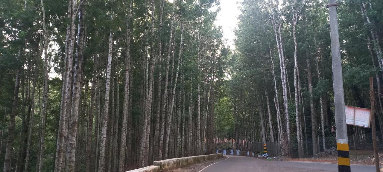 Istays - Loop Road, Yercaud Eksteriør bilde