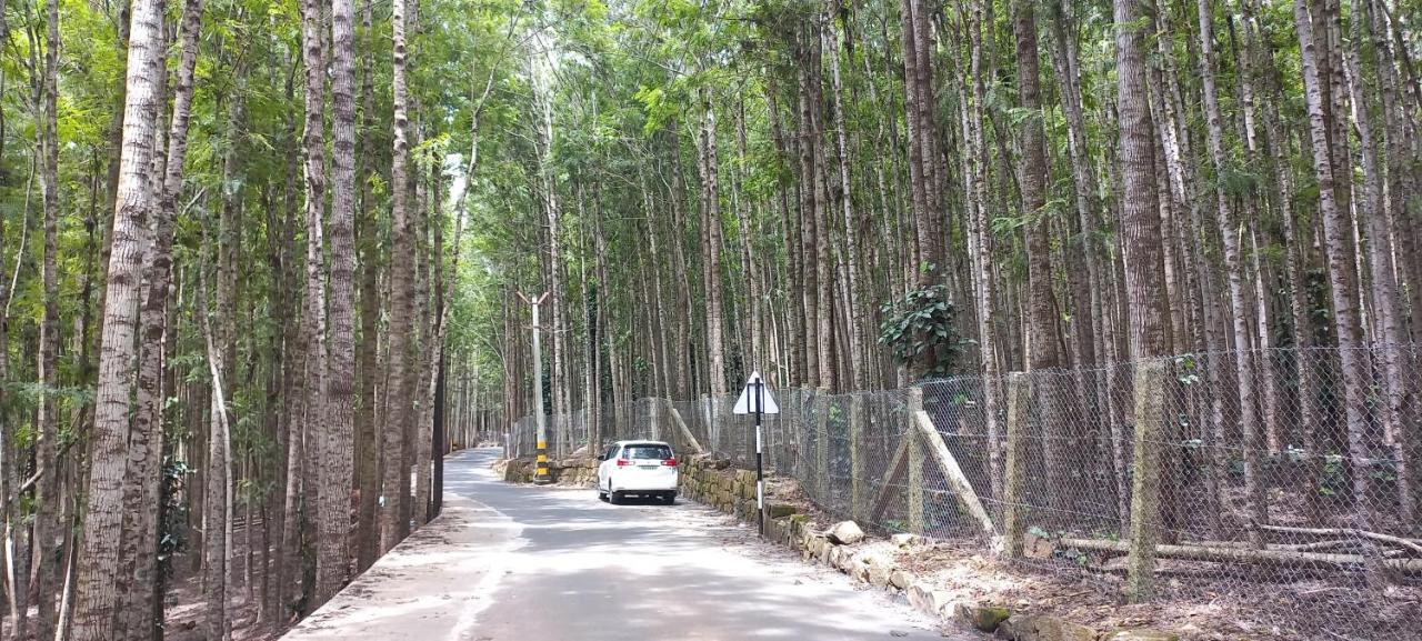 Istays - Loop Road, Yercaud Eksteriør bilde